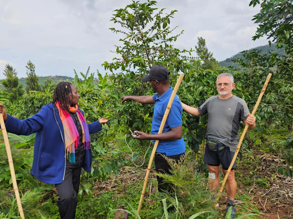 Group travel experience